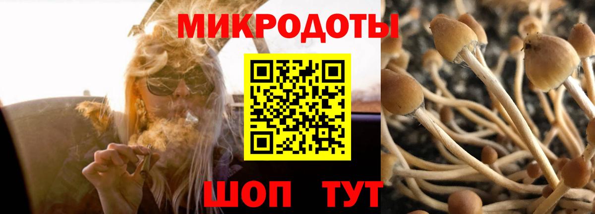 Тула  купить наркотики цена  Вход с VPN  Галлюциногенные грибы Psilocybine cubensis  Псилоцибиновые грибы мухоморы 